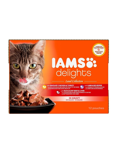 IAMS Cat Delights Adult hrana umeda pentru pisici adulte, mix carne in sos 12 x 85 g