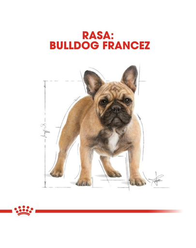 Royal Canin French Bulldog Adult Hrana uscata pentru caini adulti 1.5 kg