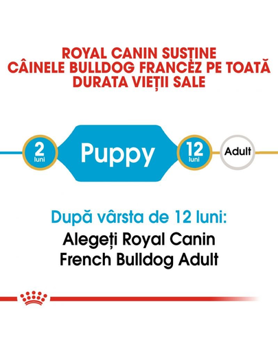 Royal Canin French Bulldog Puppy hrana uscata pentru catei Bulldog 1 kg