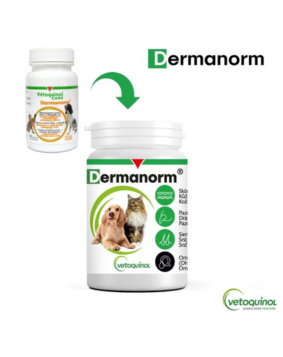VETOQUINOL Dermanorm VTQ care Supliment alimentar pentru caini si pisici, impotriva caderii parului 90 tab.