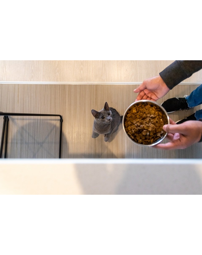 ZIWIPEAK Cat Hrana uscata pentru pisici, cu carne de vanat 400 g
