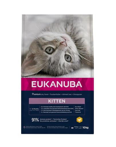 EUKANUBA Cat Kitten All Breeds Healthy Start Chicken &amp; Liver Hrana uscata pentru pisici junior, cu pui si ficat 10 kg