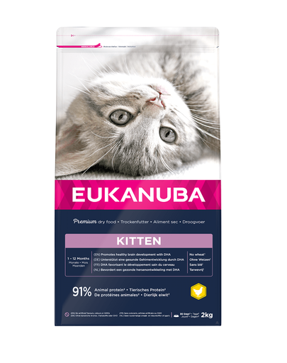 EUKANUBA Cat Kitten All Breeds Healthy Start Chicken & Liver Hrana uscata pentru pisici junior, cu pui si ficat 2 kg