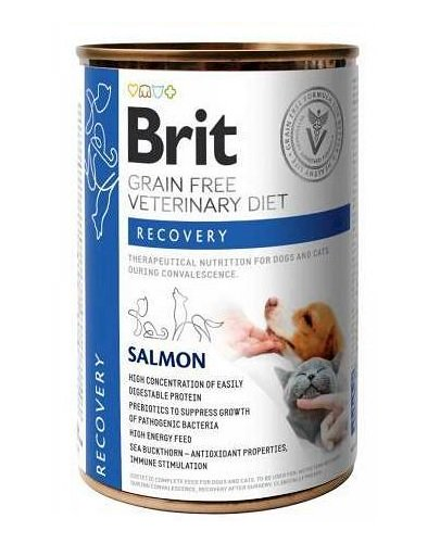 BRIT Veterinary Diet Recovery Salmon hrana refacere pentru caini si pisici 24×400 g 24x400