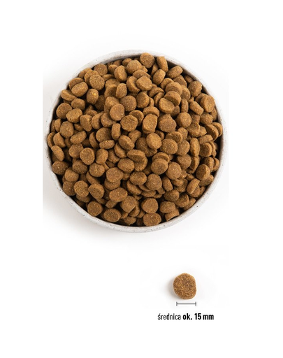 ACANA Puppy Large Breed Recipe hrana uscata caini juniori de talie mare 11.4 kg
