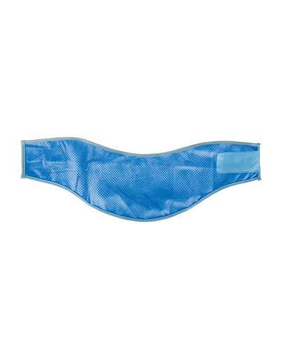TRIXIE Bandana pentru caini cu efect de racire PVA, XL: 47–57 cm, albastru