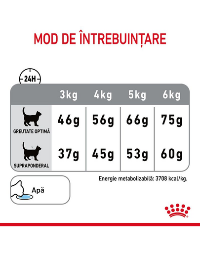 ROYAL CANIN Dental Care 3.5 kg hrana uscata pisici adulte, reduce acumularea de tartru