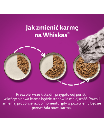 WHISKAS Adult hrana umeda pisici adulte 48x85g pui, curcan, pasare, rata in aspic