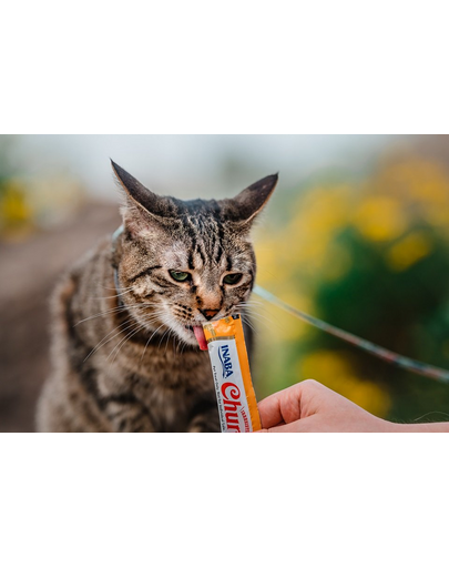 INABA Churu Cat Recompensa pentru pisici, piure cu pui si branza 56 g