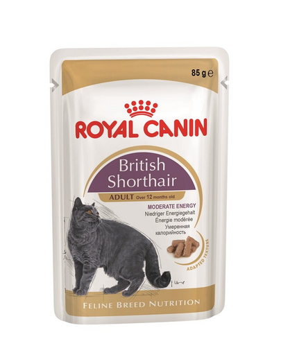 ROYAL CANIN British Shorthair hrană umedă în sos pentru pisici adulte British Shorthair 24x85 g