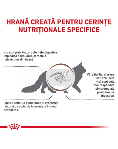 ROYAL CANIN Cat Gastro Intestinal 2 kg hrana uscata pisici cu tulburari gastrointestinale