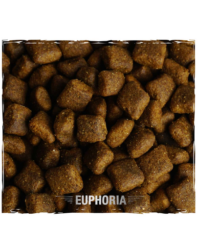 BIOFEED EUPHORIA Gluten Free Pastrav & Somon mono-proteica pentru caini adulti de rase medii si mari 10 kg