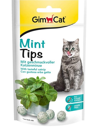 GIMCAT Tasty Tabs MintTips 40 g Recompense cu iarbamatei, pentru pisici