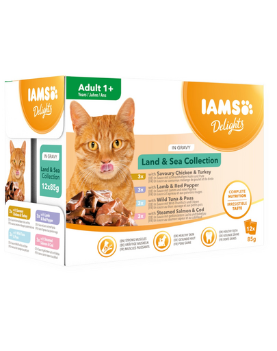 IAMS Delights Adult All Breeds Land&Sea In Gravy arome mixte in sos 12x85 g hrana pisica