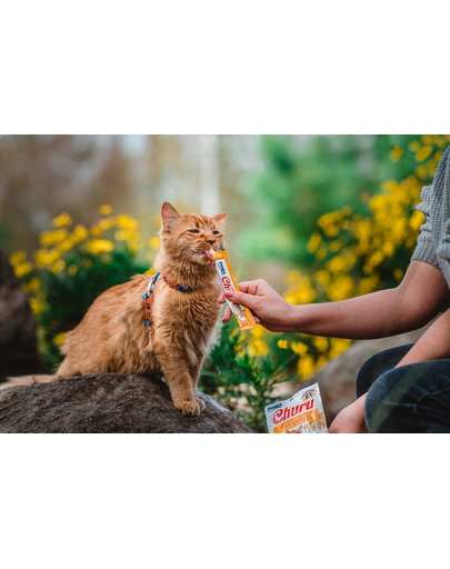 INABA Churu Cat Recompensa pentru pisici, piure cu pui 56 g