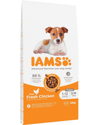 IAMS Advanced Nutrition Puppy Junior Small Medium Chicken 12kg hrana cu pui pentru catei