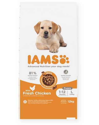 IAMS Advanced Nutrition Puppy Junior Large Breed Chicken 12 kg hrana catei talie mare