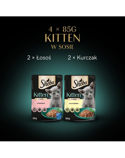 SHEBA Kitten arome in sos 4x85g hrană umeda cu somon si pui pentru pisoiasi