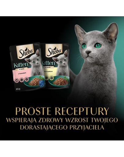 SHEBA Kitten arome in sos 4x85g hrană umeda cu somon si pui pentru pisoiasi