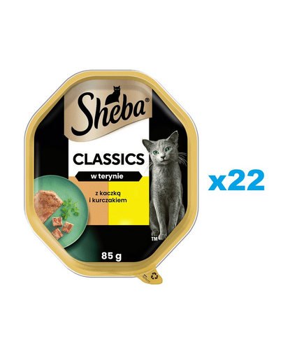 SHEBA Classics 22x85 g tava hrana umeda pisici, rata si pui in terina