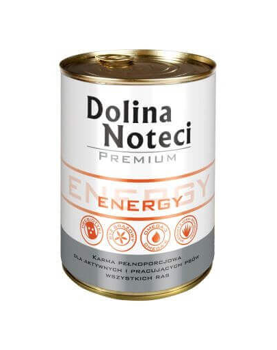 DOLINA NOTECI Premium Energy 400g