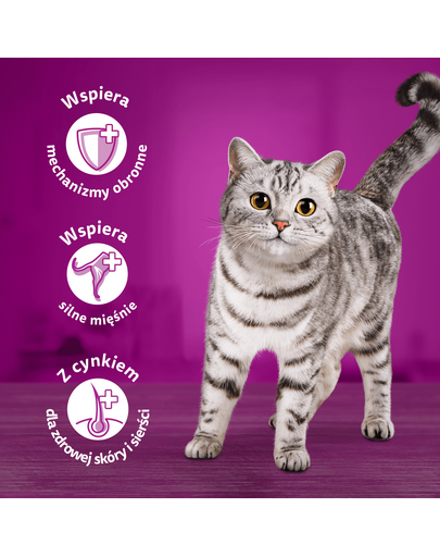 WHISKAS Adult plic 85g hrana umeda pentru pisici adulte in jeleu de pui