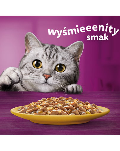 WHISKAS Adult plic 85g hrana umeda pentru pisici adulte in jeleu de pui