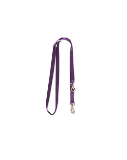 AMIPLAY Lesa pentru caini 100 - 200 cm / 2.5 cm, violet