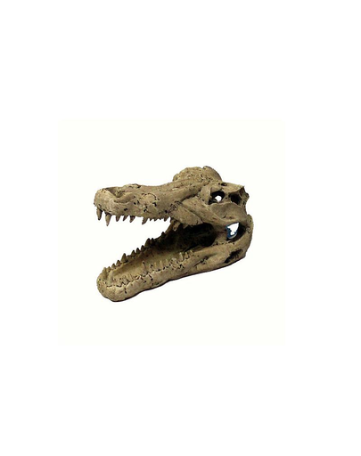 TRIXIE Decorațiune craniu crocodil mare 14 cm
