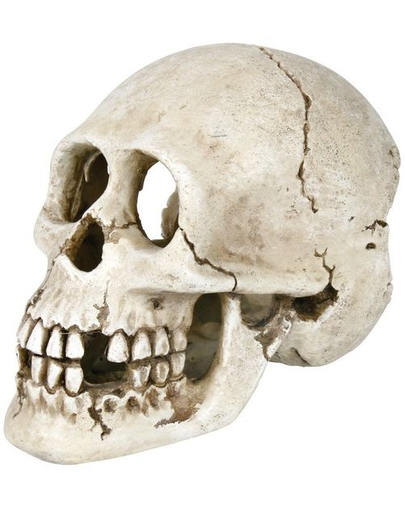 TRIXIE Decorațiune craniu 15 cm