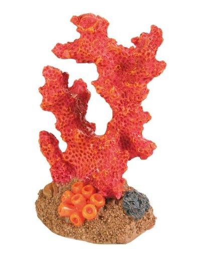 TRIXIE Set 12 corali