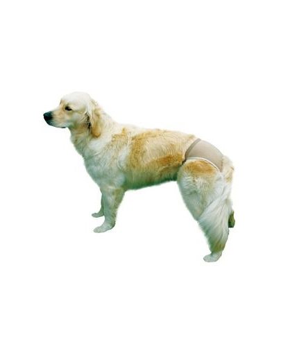 TRIXIE Chiloți pentru câini mărimea XS / 20 – 25 cm bej