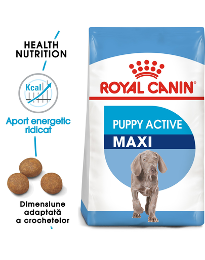 ROYAL CANIN Maxi Puppy Active hrana uscata pentru juniori de rase mari cu cerinte energetice mai mari 15 kg