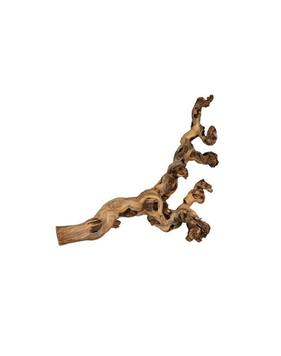 TRIXIE Decorațiune pentru terariu viță 6 pcs.