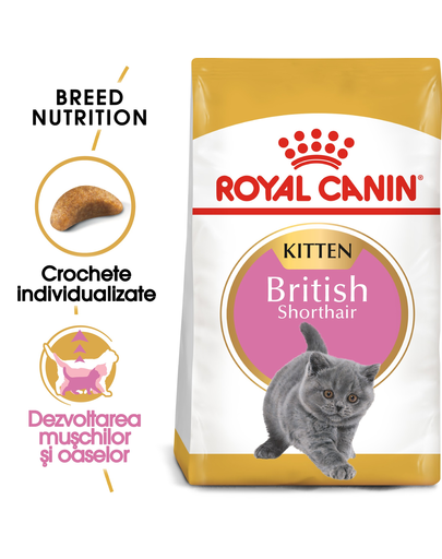 Royal Canin British Shorthair Kitten hrana uscata pisica junior, 400 g 400 imagine 2022