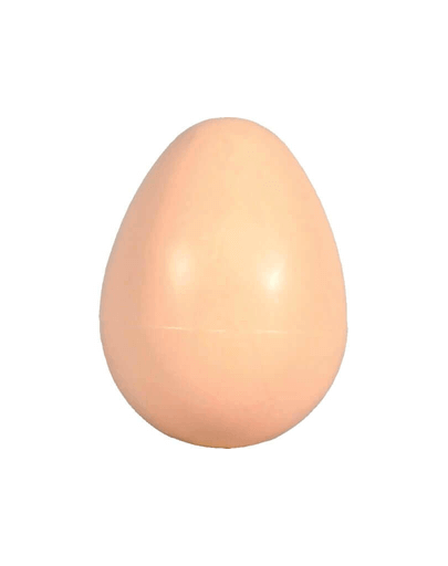 ZOLUX Ouă artificiale pui