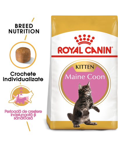 Royal Canin Maine Coon Kitten hrana uscata pisica junior, 10 kg CANIN imagine 2022