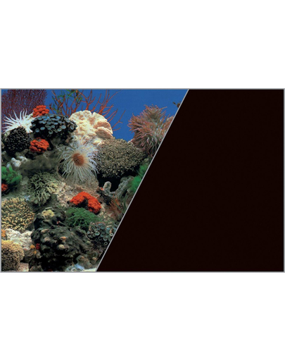 ZOLUX Fundal cu două fețe pentru acvariu 60 cm x 15 M recif de corali