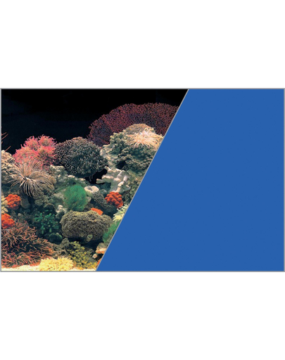 ZOLUX Fundal cu două fețe pentru acvariu 40 x 60 cm Coral / albastru