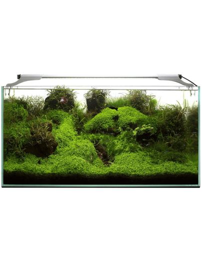 Aquael leddy slim 32w plant 80-100 cm