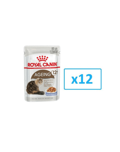 ROYAL CANIN Ageing +12 în aspic 12x85 g