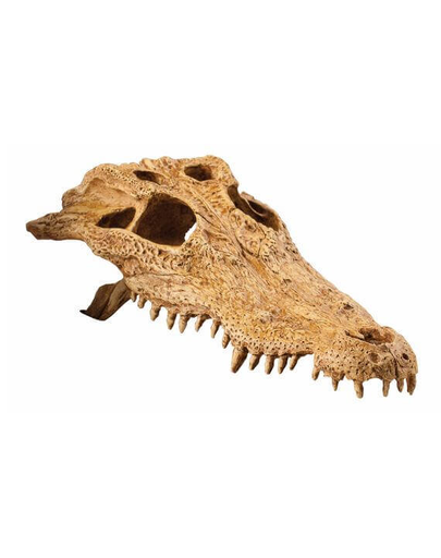 EXO TERRA Ascunzătoare craniu crocodil