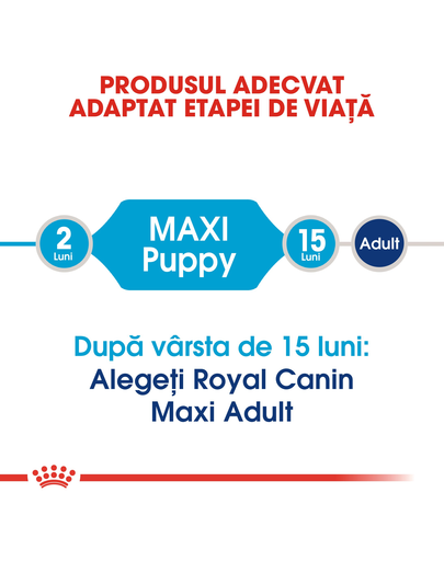 Royal Canin Maxi Puppy hrana uscata caine junior, 15 kg