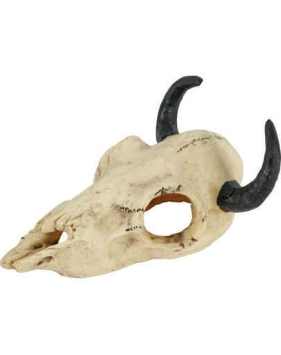ZOLUX Decorațiune craniu de dinozaur model 1