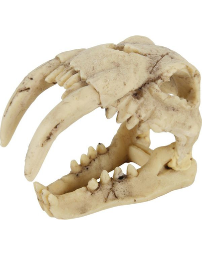 ZOLUX Decorațiune craniu de dinozaur model 4