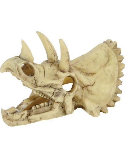 ZOLUX Decorațiune craniu de dinozaur model 5