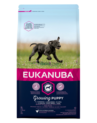 EUKANUBA Growing Puppy Large Breed Hrana uscata pentru catei de talie mare, bogat in pui proaspat 2kg