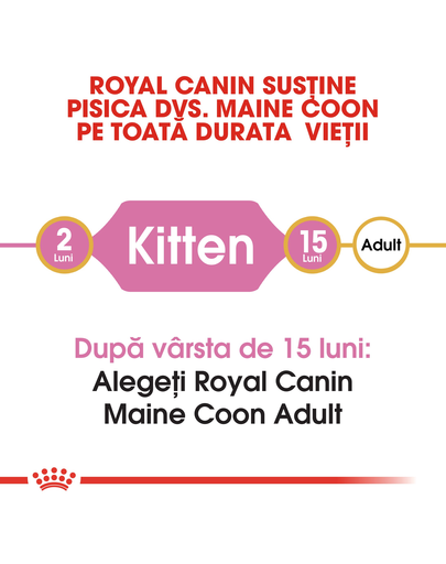 ROYAL CANIN Kitten maine coon 400 g