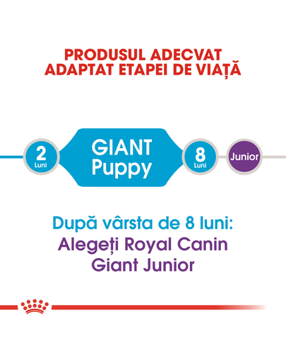 Royal Canin Giant Puppy hrana uscata caine junior etapa 1 de crestere , 15 kg