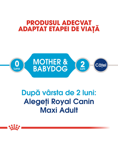 Royal Canin Maxi Starter Mother & Babydog gestatie/ lactatie pui hrana uscata caine, 4 kg